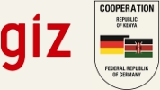 giz logo